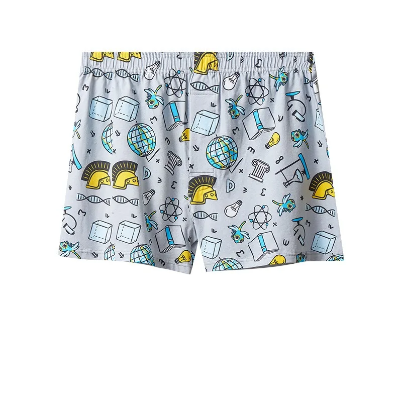 Herren-Boxershorts aus Baumwol – Boxer Brief Pack Cotton Bewertung und Preis